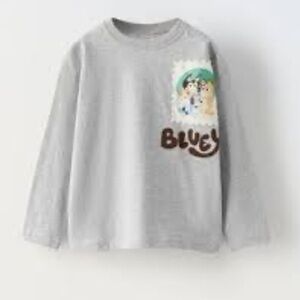 Zara Gray Long Sleeve Tee with Bluey Graphic Design